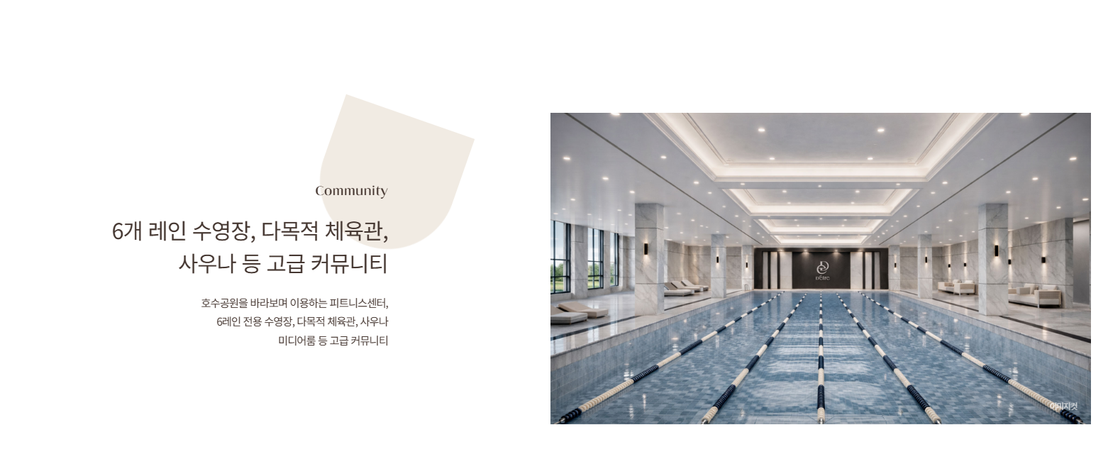 프리미엄 6